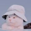 Gato macio 22