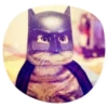 catsindress 24