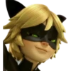 Cat Noir - Miraculous 23