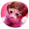 catsindress 28