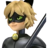 Cat Noir - Miraculous 24