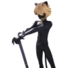 Cat Noir - Miraculous 25