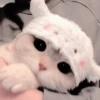 Gato macio 27