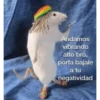 Andamos vibrando alto bro, porfa bajale a tu negatividad