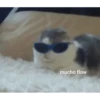 mucho flow