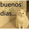 buenos días...