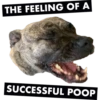 THE FEELING OF A SUCCESSFUL POOP