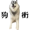 狗
衝