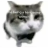 meow 6