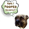 HAVE I POOPED RECENTLY?