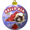 @ANNOS
BELLO DÍA