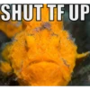 SHUT TF UP CephotoLBRAN photoLBRA SCIENCE SCIENCEPHote SCIENCED hotouBRARY