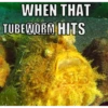 WHEN THAT TUBEWORM HITS
