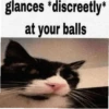 meow 9