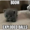 meow 10