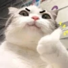 Thumbs Up