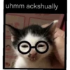 meow 11