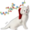 Navidad Blanca Navidad No. 2 12