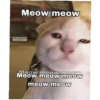 meow 14