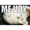 ME VOY
