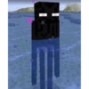 minecraft meme 5