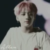 for my allan 14
