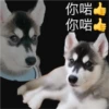 你啱
你啱专