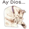 Ay Dios...