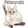 Peleando