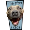 me after i caca