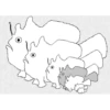 Shaggy frogfish collection 18