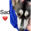 Sad