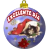 CANNOS
EXCELENTE D
DIA