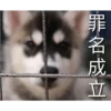 罪名成立