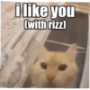 meow 20