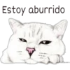 Estoy aburrido