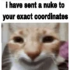 meow 23