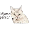 Déjame pensar