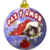 PAZ
@CANNOS
AMOR