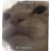 meow 26