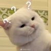 Confused