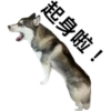 起身啦!