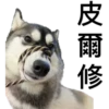 皮爾修