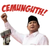 PRABOWO VERSI 2 9