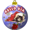 CANNOS
BELLO DIA