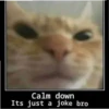 meow 30