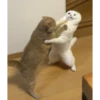 Meow Mood v2 18