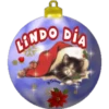 LINDO DIA
TANNOS