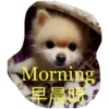 HK Lion King 仔仔 1 6
