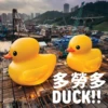 多勞多 DUCK!!!